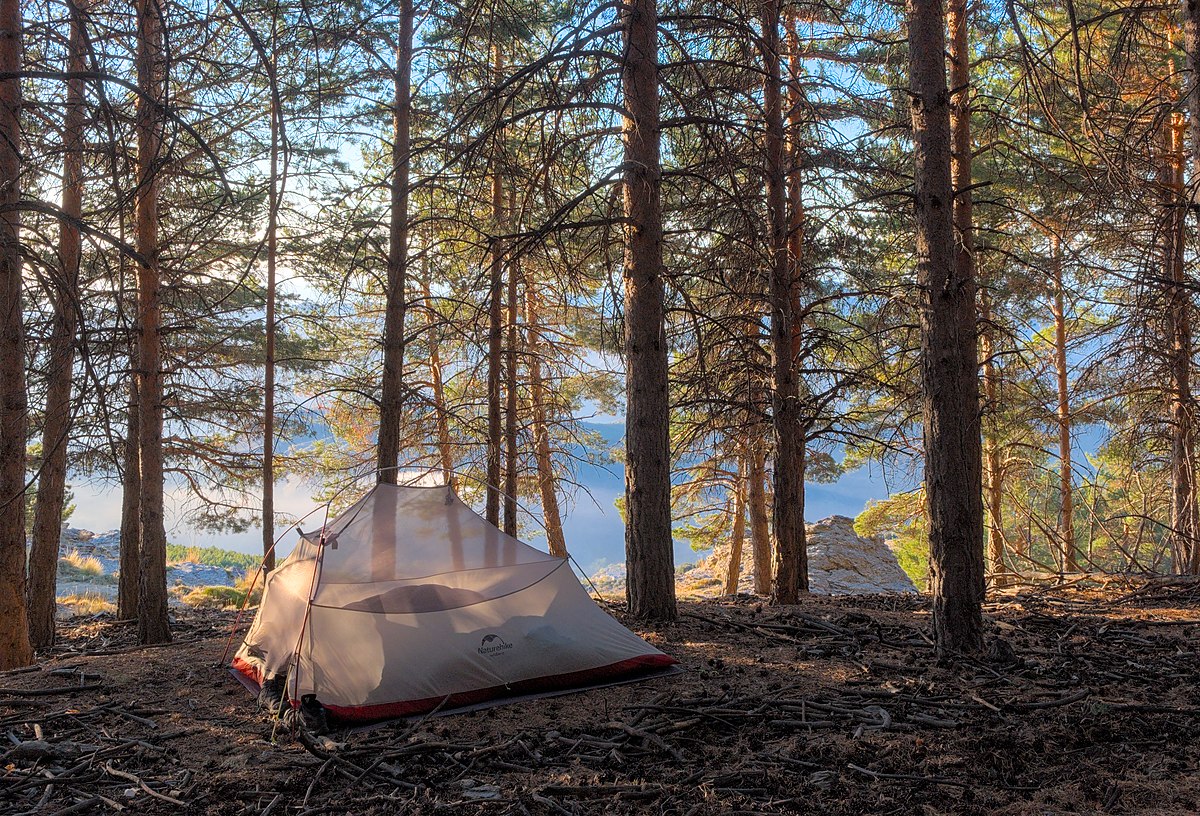 The Ultimate Beginner's Guide to Outdoor Photography - Capturing Nature Like a Pro