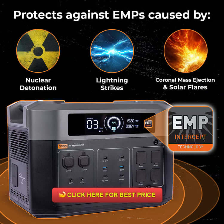 Grid Doctor 3300 Review: The EMP-Proof Solar Generator System You Need
